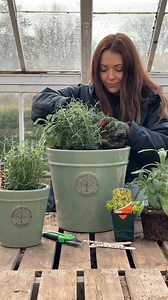 Not only does this DIY herb planter make adding fresh herbs to your home-cooked meals deliciously easy, but the earthy, natural smells can help set the vibe of your kitchen and evoke positive feelings 🌿 | Dobbies