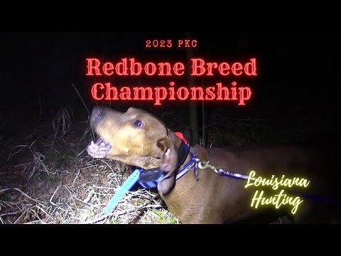2023 PKC Redbone Breed Championship #louisianahunting #coonhunting #redbone