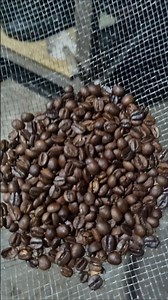 Wanna roast some coffee? The roasting process is so satisfying☕️ #coffee #cafe #lifestyle #barist...