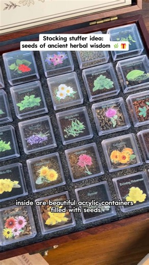 🎅 Last-minute gift panic? We've got you! The Ancestral Apothecary Seed Chest features 40 medicinal herb seeds in beautifully crafted containers, complete with a detailed growing guide. Each seed is carefully selected for easy growing, from calming chamomile to vibrant echinacea. ✨ Give a present that grows more meaningful with time - get this special gift at a great price! 🌱 | Lush&Dew
