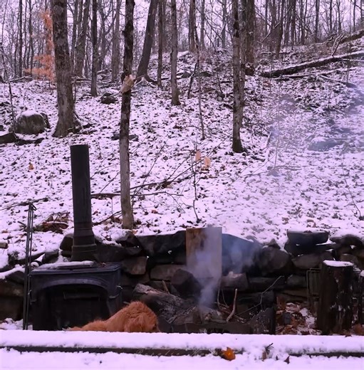 8.7K views · 211 reactions | Building an Off Grid Log Cabin Alone in the Wilderness, Ep5, Wood Pegs | Rosalie Kasper | Facebook