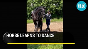 This woman taught her horse how to dance. Watch the cute video #ItsViral #ViralVideos | Hindustan Times
