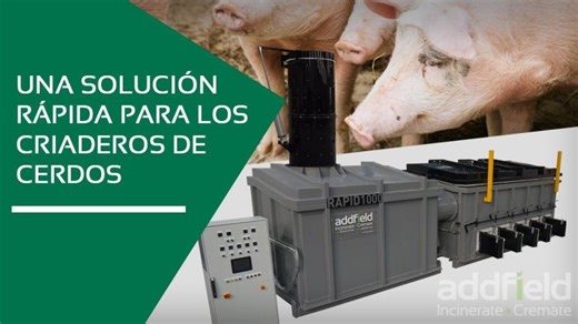 Una solución rápida para los criaderos de cerdos | Eduardo Sierra Torres