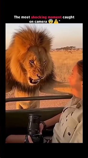 Defender. #cars #defender #yt #4x4 #ytgrowth #aura