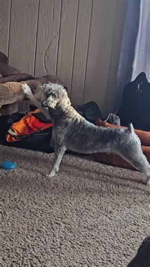 Uncle Jason is snoring Mom...