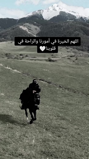 Horseback Riding Through Majestic Mountain Landscapes