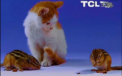 TCL王牌电视演示片 约2000年代