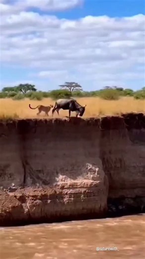 𝗥𝗢𝗔𝗥❌𝗩𝗘𝗥𝗦𝗘 | जापान एक ऐसी तकनीक पर काम कर रहा है ‎ जहाँ चलना भी बिजली बना सकता है ⚡ ‎ खास तरह की स्मार्ट टाइल्स पैरों के दबाव और कंपन से ऊर्जा इकट्ठा... | Instagram