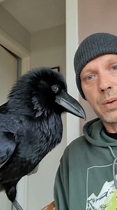 217K views · 9.3K reactions | Ragnar AKA Rags, Ragus, Ragnar Rags, Rageee, Ragooo and Ragnar Crawfordson. | Nicholas Crawford | Facebook