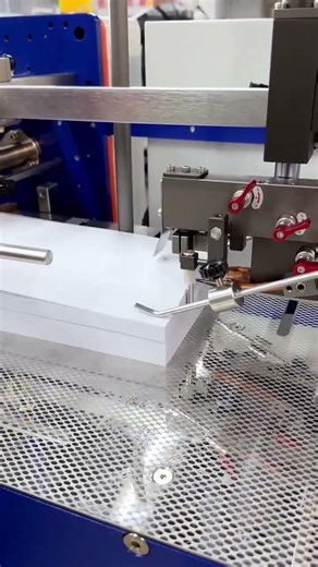 One Machine, Multiple Folding Solutions