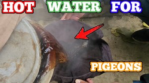 32K views · 1.4K reactions | Garam Pani  | Ch Sakhi Muhammad Bhatti | Facebook