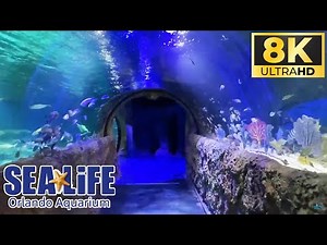 Full Tour of the SeaLife Aquarium in Orlando, Florida! 8K Travel VLOG & Review