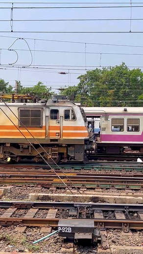 112K views · 1.8K reactions | Parallel Race Emu vs Wap5 | Indian life lines | Facebook