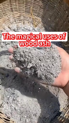 The Wonderful Uses of wood ash #woodash#planting#horticulture#balcony#farming#leek#health#garden | My Own Garden