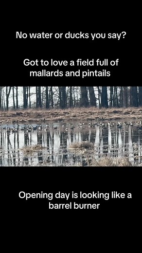 Time to put the Benelli to work. If you’re still on the fence give us a call and let’s talk ducks. Once the hunting gets hot it will be too late. Don’t watch it from the couch. Come get in on the action. We still have a few Dec and Jan hunts available. | Diver Down Coastal Duck Hunts