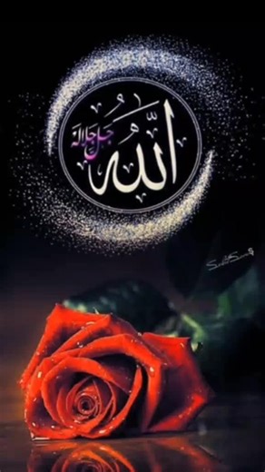 Osama ELsify على TikTok