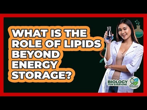 What Is The Role Of Lipids Beyond Energy Storage? - Biology For Everyone