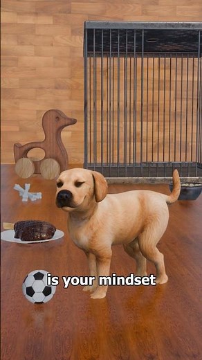 The Dog Cage Experiment 🐶