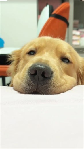 🤭🤭 | Movie Linee