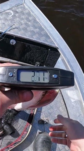 Отлично на рыбалке это замечательно!