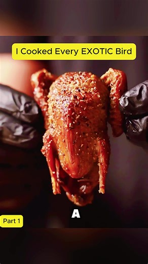 Exotic Bird Cooking Recipes for Foodies