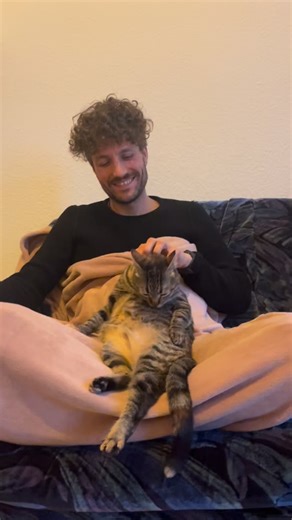 Manga | Cuddle and clean session #catcuddles #babycat #jabbathehutt #bellylicks | Instagram