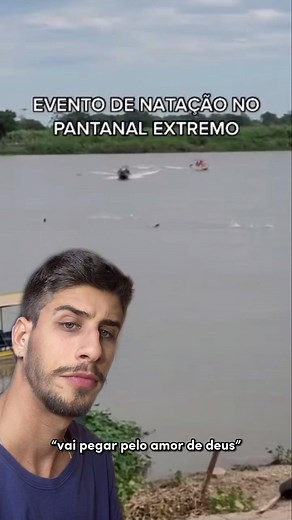 Ariranhas: Conheça os Perigos e Curiosidades do Pantanal