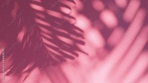 blur shadow palm leaves in wind overlay on pink wall background, concepts summer