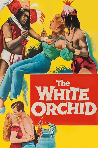 The White Orchid Summary, Trailer, Cast, Where to Watch and More