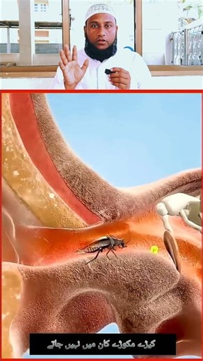 Allah ki Qudrat aur Allah ki Hikmat 😍