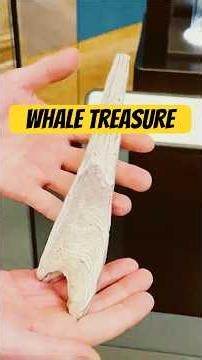 There’s a secret history hidden in a whale's ear