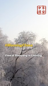 Shenyang, a city with a history of more than 2,000 years, is an important manufacturing and transportation hub in northeast China. #MorningChina | CGTN