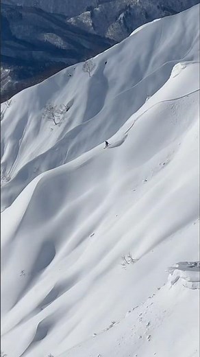 去年の思い出の一本。 #イチコロサイドカントリー #snowboarding #バックカントリー #スノーボード #snowboard #大日ヶ岳 #高鷲スノーパーク