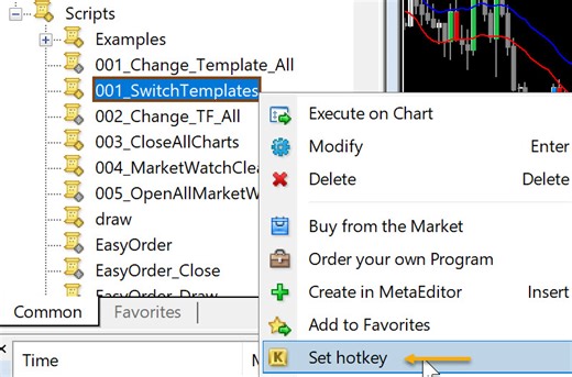 Abiroid Switch Templates Script