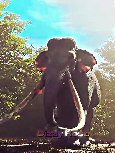 Deinosuchus vs Palaeoloxodon #dinosaur #1v1 #vs #paleontology #animals #crocodile #elephant #shorts