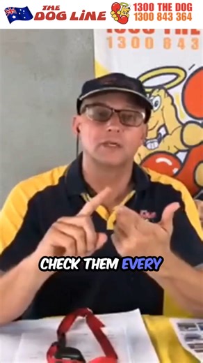 Are bark collars cruel? 樂 Let’s set the record straight. After years...