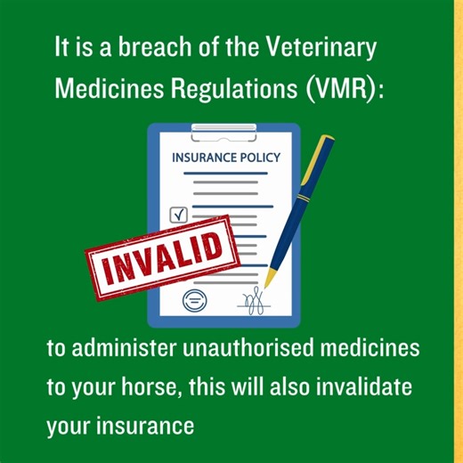 🚨The VMD has seized over 13,000 unauthorised horse medicines sold illegally online. We urge horse owners and equine vets to remember that advertising, importing, and administering unauthorised products is illegal and risks animal health. We are sharing this important update from the @Veterinary Medicines Directorate as part of our Feed Fact Fortnight and Winter of Welfare and Well-being. Thank you! | British Equestrian Trade Association (BETA)