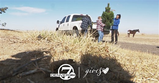 Denver7 Gives replaces sentimental trees destroyed by Bennett tornado