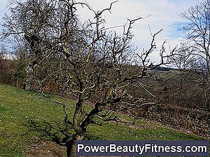 Comment Former Les 300 Mètres 💪💪 Tout À Propos Des Modes De Vie Sains Et De Remise En Forme - 2025