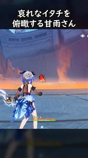【原神】イタチさん、そこ熱くありませんか？【Genshin Impact】