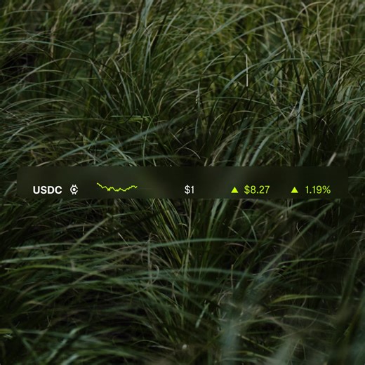 A suite of 80 technical indicators and drawing tools to discover patterns and spot opportunities. | Robinhood