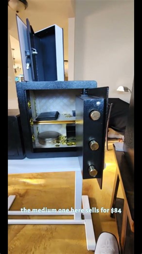 TNTANTS 5.2 Large Home Security Safe Box with Digital Keypad Alarm System Internal Locking