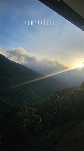 A slow morning amidst mist & mountains❄️❄️#suryanelli