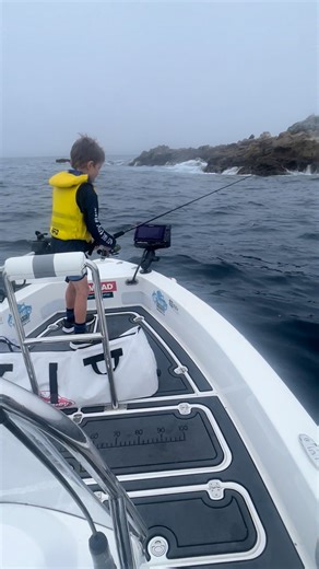 🎣 Flicking out Gulp! softbaits with the next generation! Teach them young, and they'll be hooked for life 👶🐟 There's nothing quite like watching a kid's face light up when they feel that first tug on the line - and with Gulp!, those magical moments happen more often! ✨ Building memories, one cast at a time 💙 #berkleyfishingnz #yourfishourscience #catchmorefish #keepcasting #fishingnz #gulp #softbaitfishing | Berkley Fishing