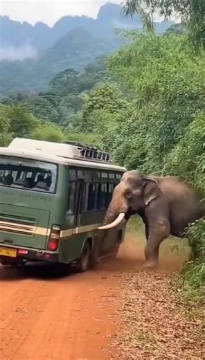 Wild Elephant Flips Safari Bus Full of Tourists! 🐘🚌 | Incredible Animal Power