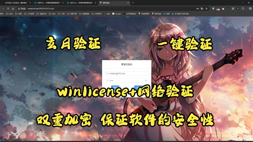 【玄月验证】使用winlicense+网络验证 双重加密保证软件的安全