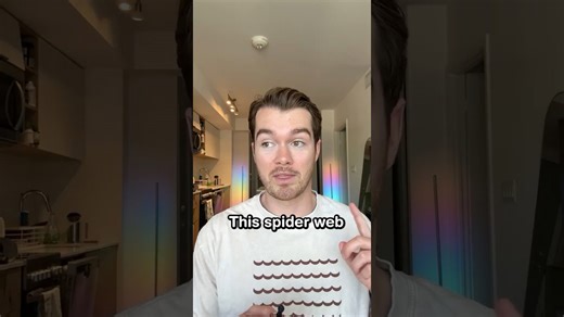 NASA gave spiders drugs - here's what their webs revealed