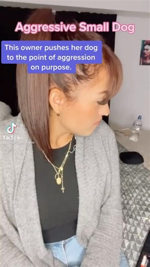 Small dogs can have big feelings too, and it’s important to respect them and help them! #dogbehavior #smalldogsyndrome #reactivedog | Thinking Canine