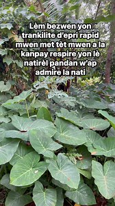 Andeyò nan lakou lakayanm’ | Agriculture Lakay