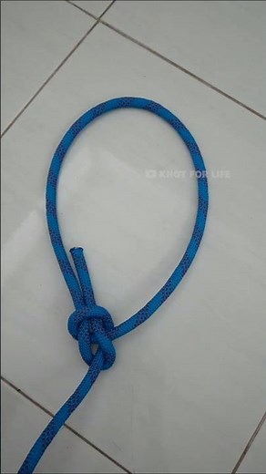 Bowline The King of Knot | Essential Knot You Need To Know #bowline #bowlineknot